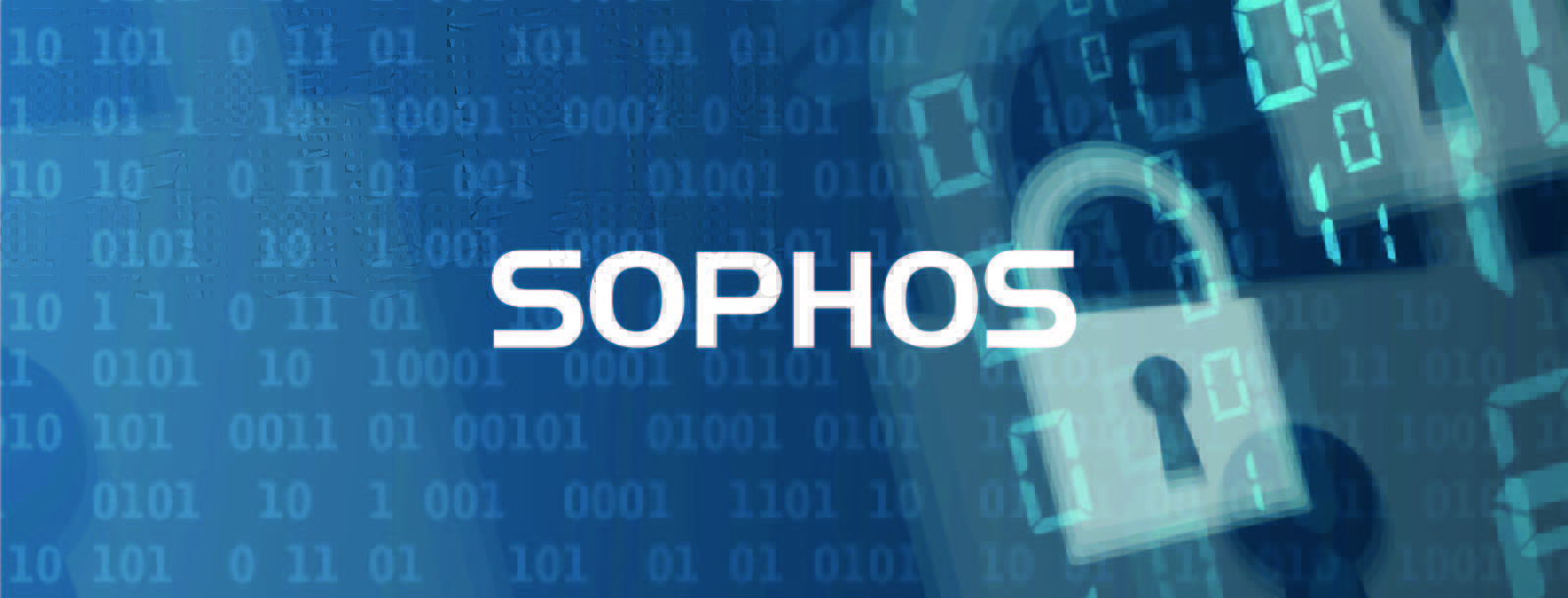 Nawet do 7 tygodni nielegalnego dostępu do firmowych danych. Cyberprzestępcy korzystają z luk w popularnych aplikacjach – raport Sophos